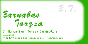 barnabas torzsa business card